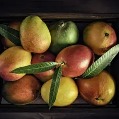 Mango kalorie i indeks glikemiczny – czy warto jeść przy cukrzycy?
